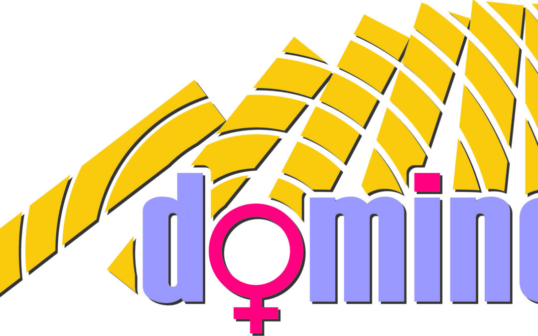 Digitalno nasilje – iskustva udruge Domine