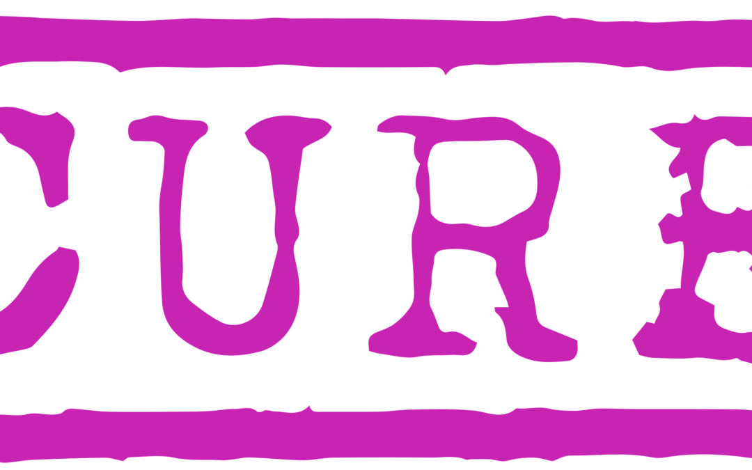 Domine na 18. PitchWise-u u Sarajevu