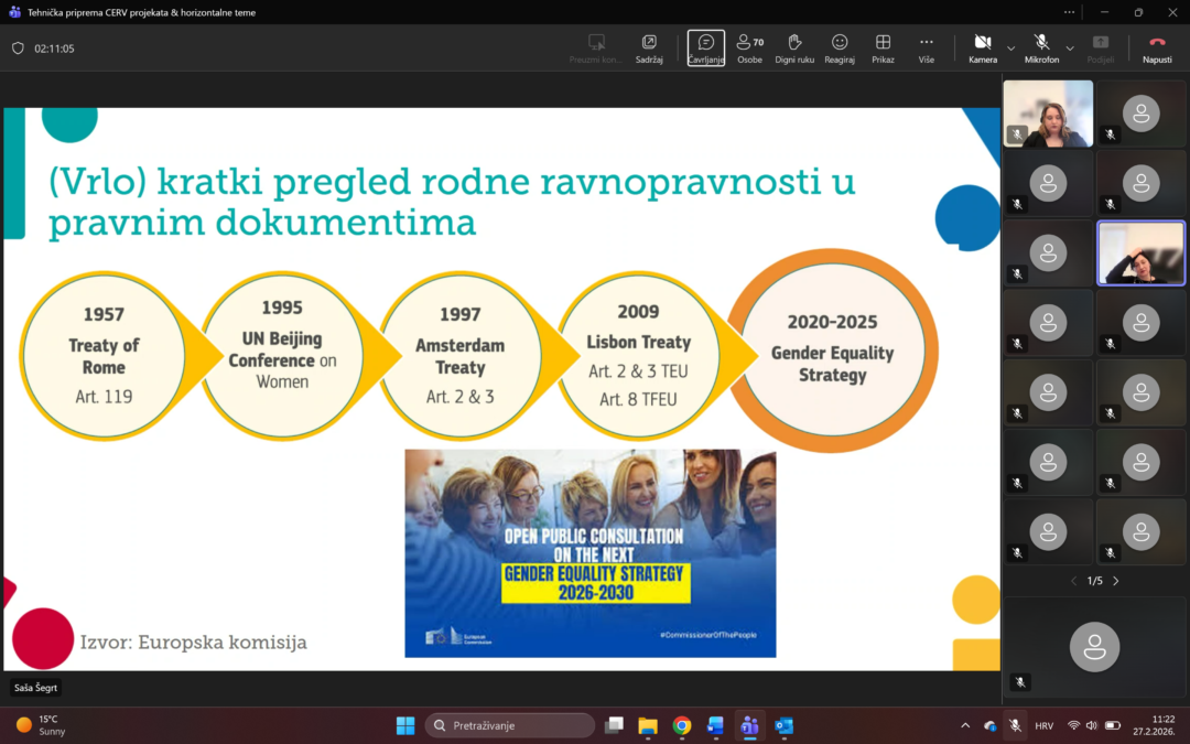 Domine sudjelovale na webinaru o tehničkoj pripremi projektnih prijedloga i horizontalnim temama